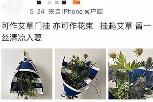 开云官方在线登录入口手机版截图4